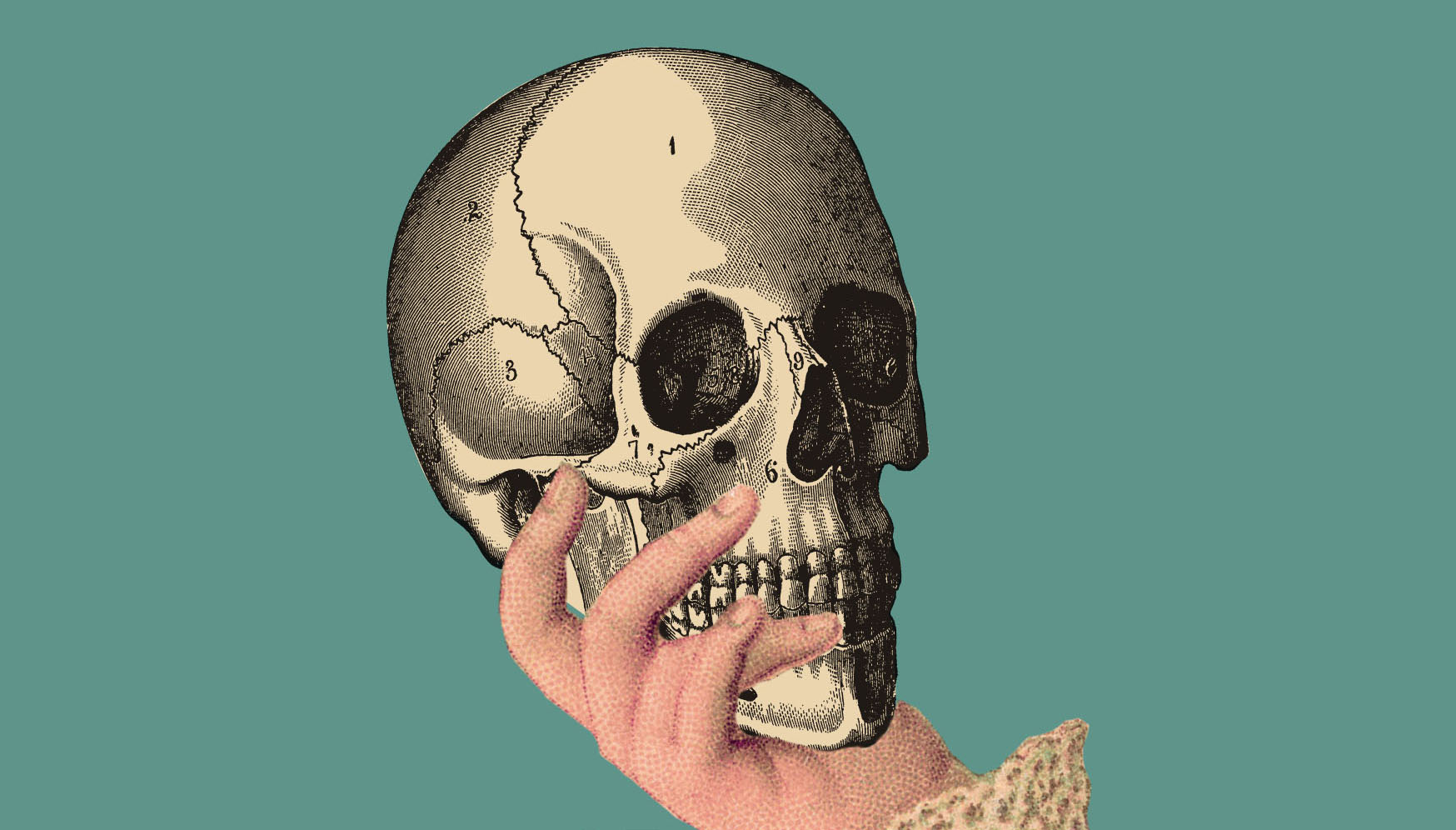 Solomon's Knot / Les Passions de l'Ame